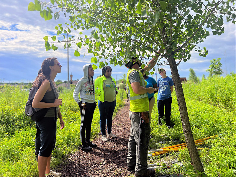 A group of people stand on a path in a grassy field, watching as a man demonstrates how to prune a young tree.
